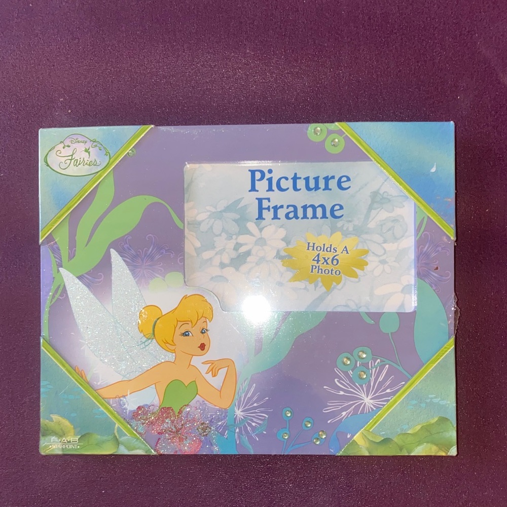 Disney Fairies picture frame